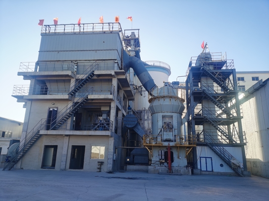Réduction économiseuse d'énergie de consommation de moulin de 325 Mesh Calcium Carbonate Vertical Raw